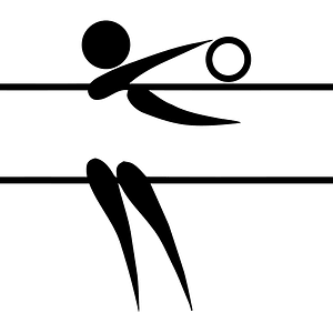 Volleyball (indoor) pictogram