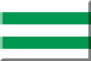 600px horizontal Green HEX-009850 White