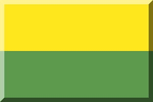 600px upper Yellow HEX-FFE71E lower Green HEX-5E9A4D