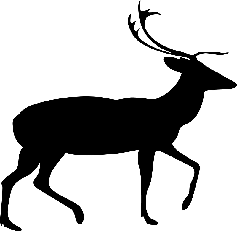 Animal-1299712