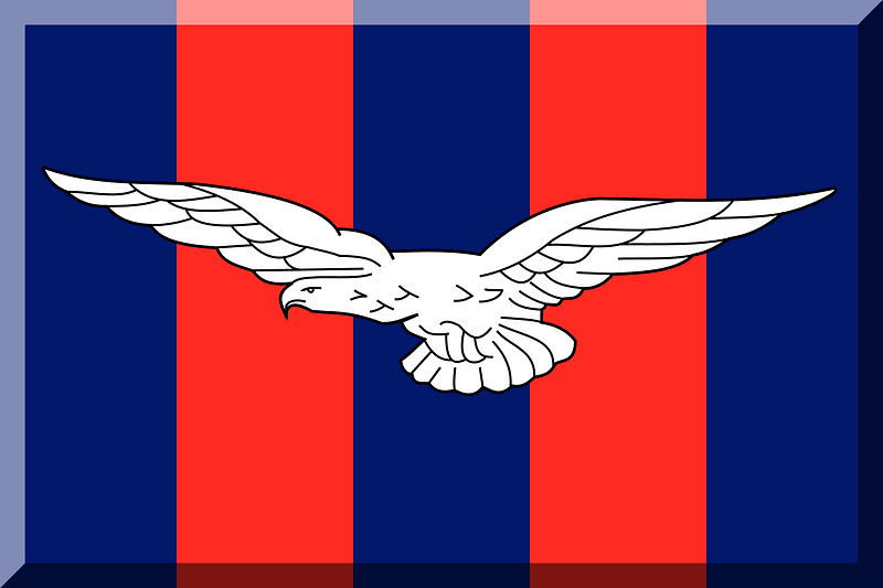 600px vertical HEX-01186B HEX-FF2A21 White eagle looking left