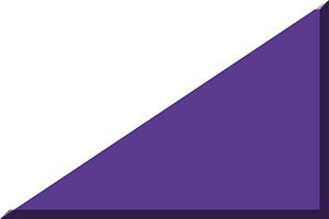 600px diagonal White HEX-5B3B8E