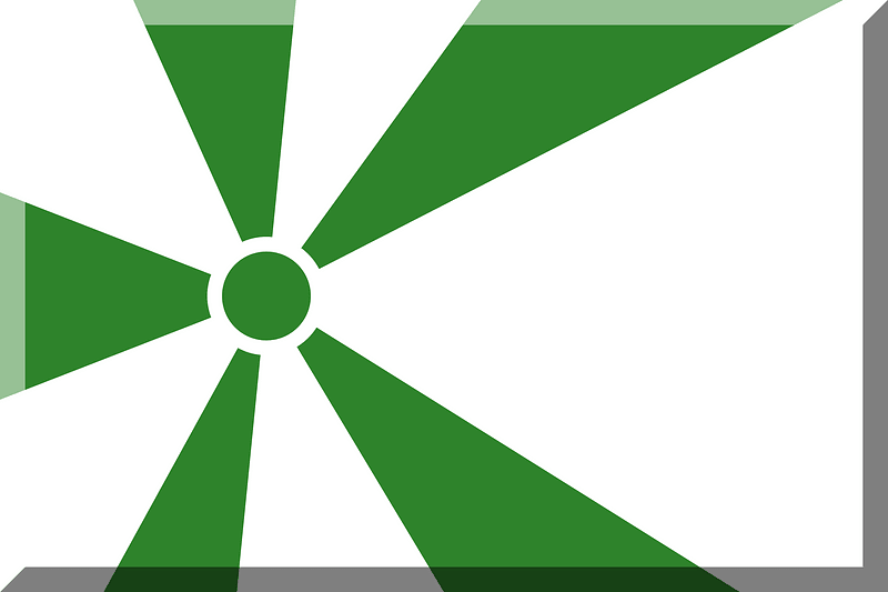 600px White background HEX-2E832B rays