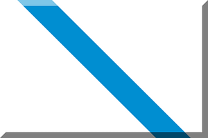 600px White background inclined HEX-008ED1