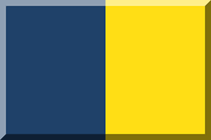 600px vertical HEX-1F4169 HEX-FFDE15
