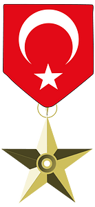 Barnstar of National Merit Turkey
