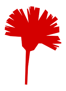 Carnation fully red icon