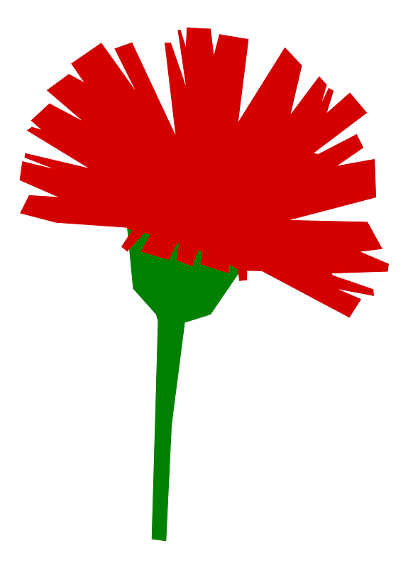 Carnation icon green stalk