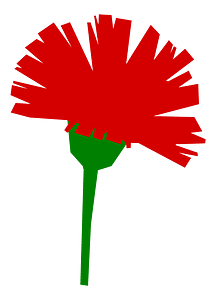 Carnation icon green stalk