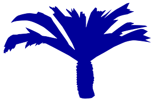 Cycas vector