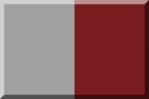 600px bisection vertical HEX-A0A0A0 HEX-7B1C20