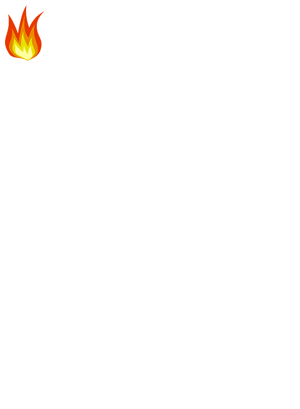 FireIcon