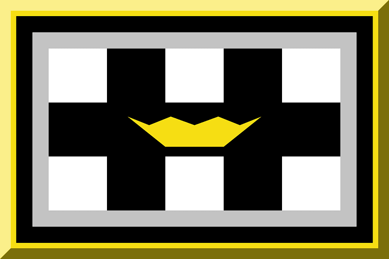 900px bordered HEX-F6DE14 Black HEX-C3C3C3 chequered Black White with HEX-F6DE14 crown