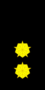 Norwegian police rank 2
