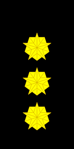 Norwegian police rank 3