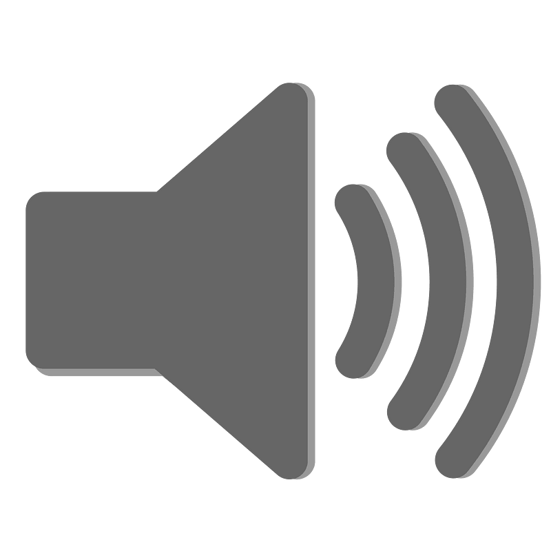 Speaker Icon gray