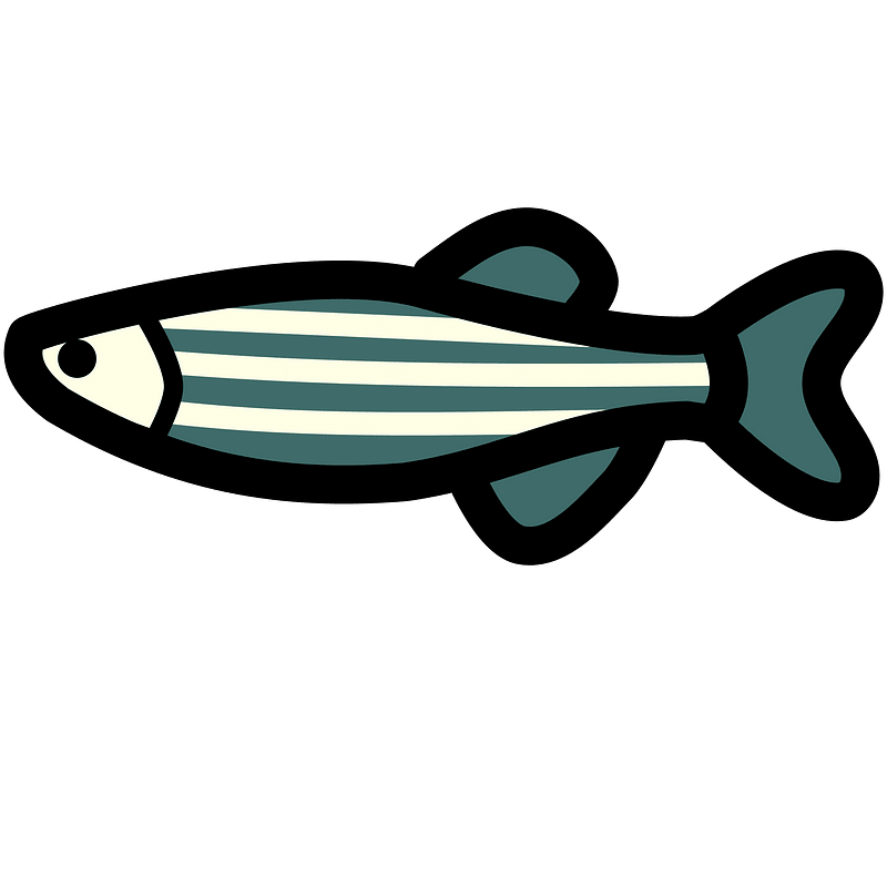 Icon - Danio rerio