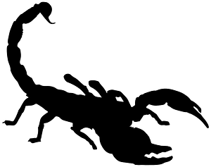 Skorpio 1