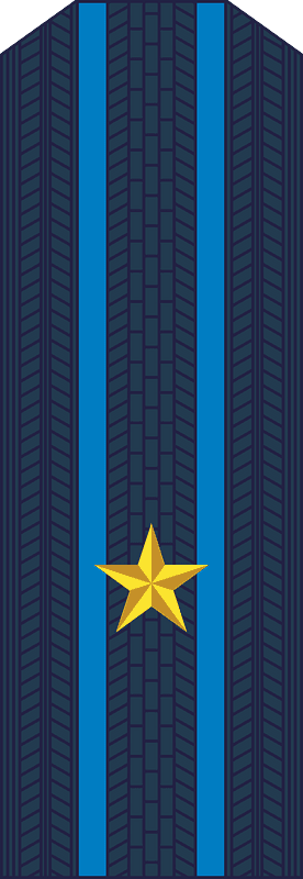 Rank insignia of the Prosecutor's Office of Ukraine 4