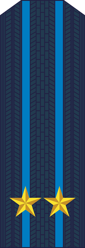 Rank insignia of the Prosecutor's Office of Ukraine 5