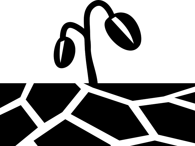 Drought - The Noun Project