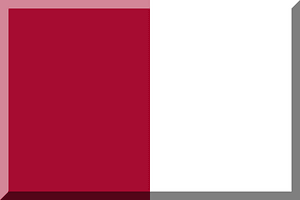 600px bisection vertical HEX-A60C31 White