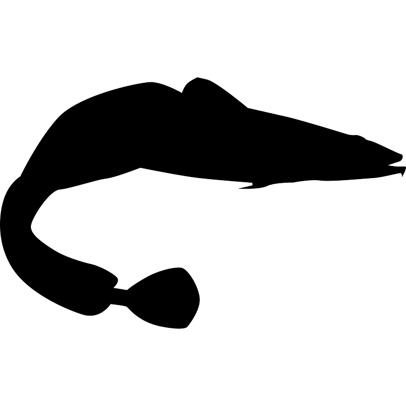 Ling (7407) - The Noun Project