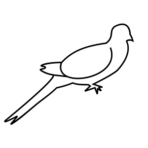 Dove (11744) - The Noun Project