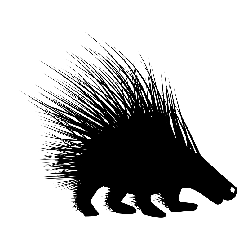 Porcupine (12768) - The Noun Project