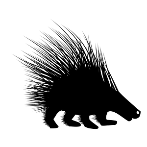 Porcupine (12768) - The Noun Project