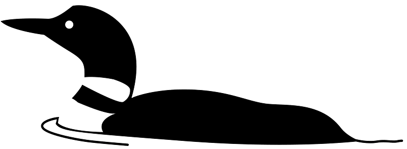 Loon (20786) - The Noun Project