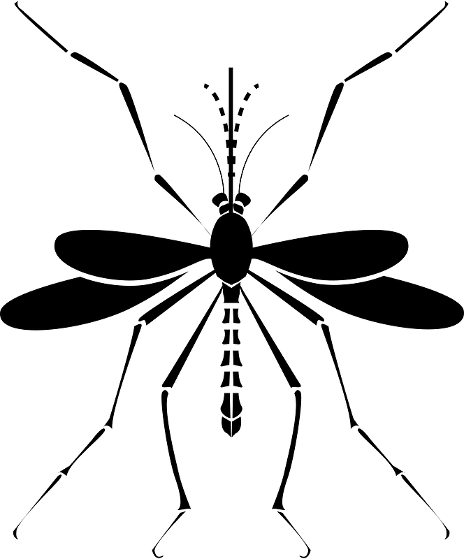 Mosquito (19603) - The Noun Project