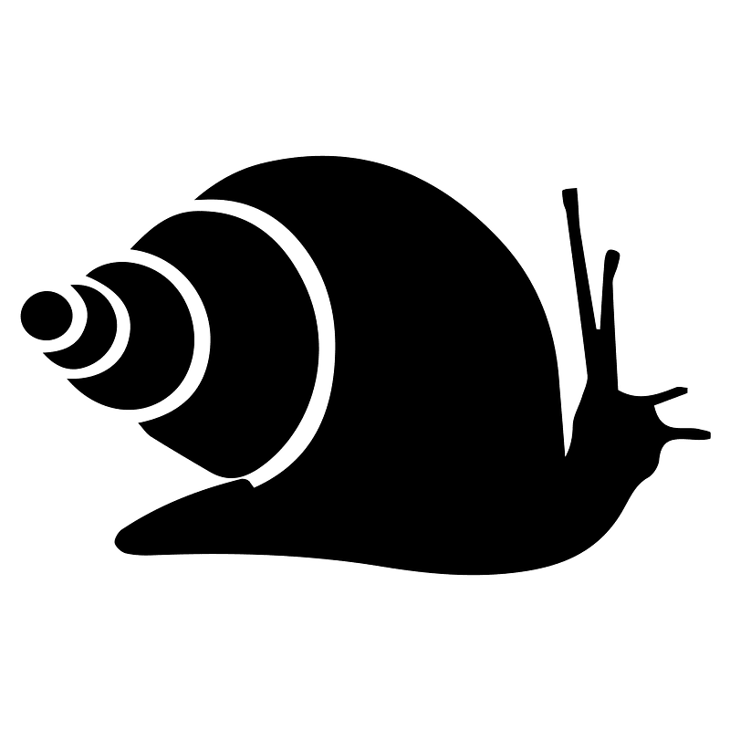 Snail (98519) - The Noun Project
