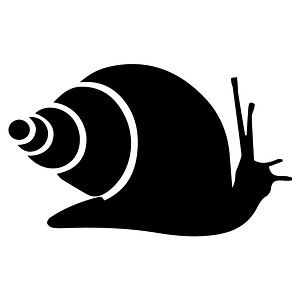 Snail (98519) - The Noun Project