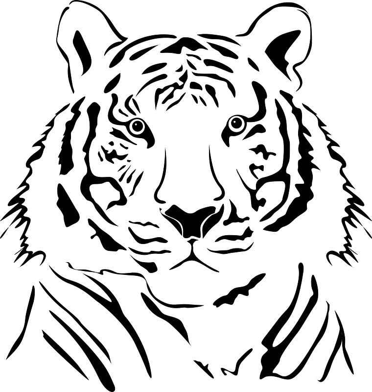 Tiger (709971) - The Noun Project