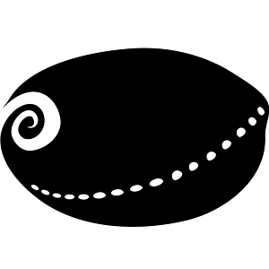 Abalone (1427335) - The Noun Project