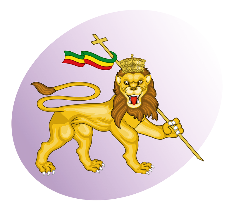 P lion of judah violet