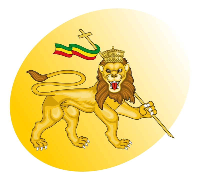 P lion of judah yellow