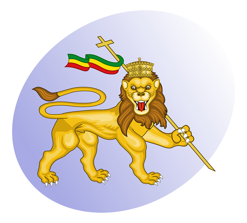 P lion of judah blank