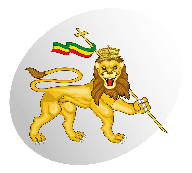 P lion of judah grey