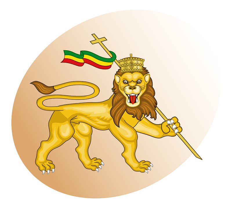P lion of judah brown