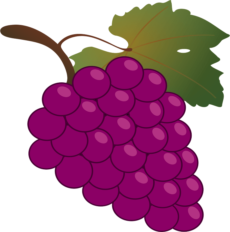 Bunch of grapes icon