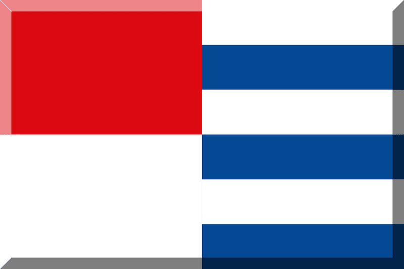 Pro Patria ARC Busto Arsizio flag