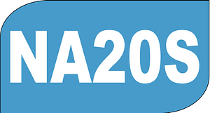 Record icon NA20S