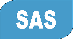 Record icon SAS