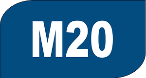 Record icon M20