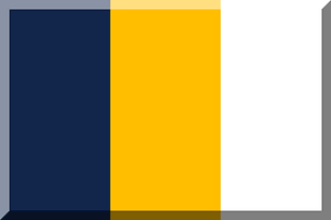 600px trisection vertical HEX-13264B HEX-FFBF00 White