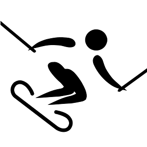 Grass skiing pictogram