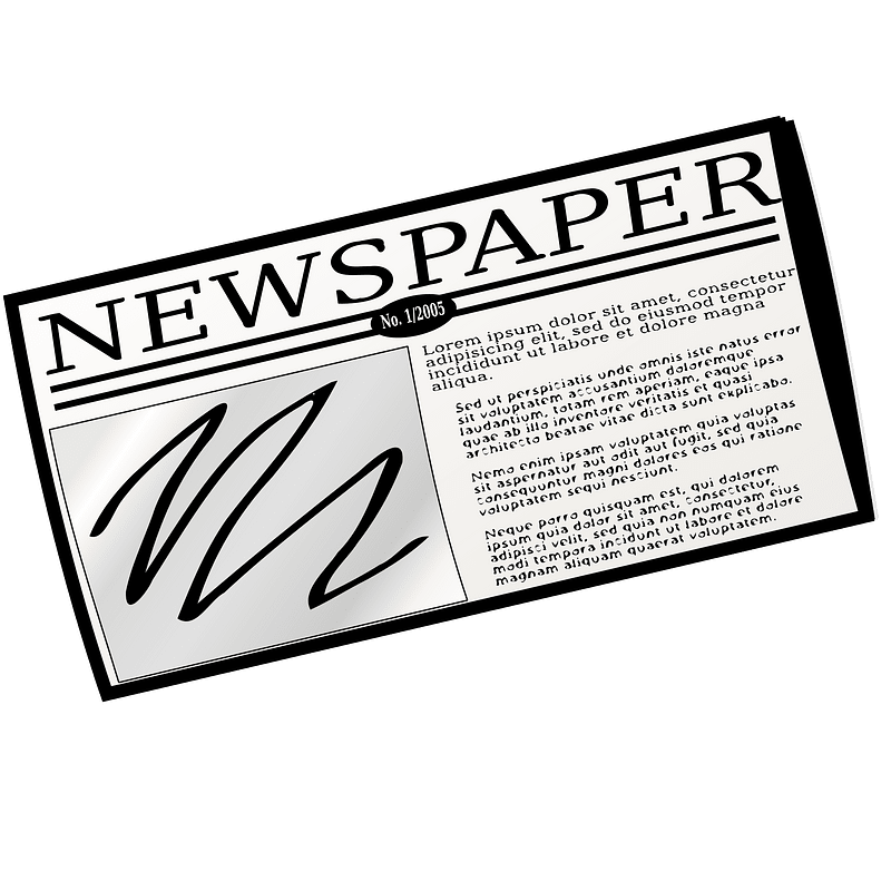 Newspaper nicu buculei 01