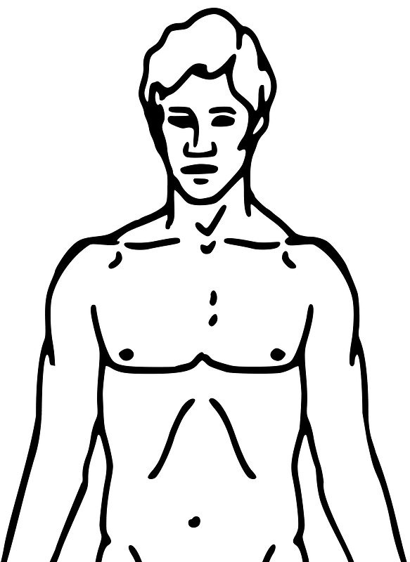 Pioneer plaque man upper body as diagram template